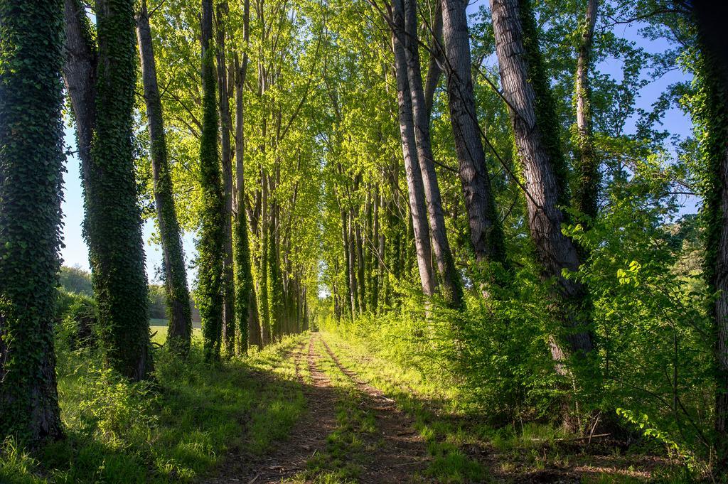 Vila Domaine De Gressac Verfeuil Exteriér fotografie